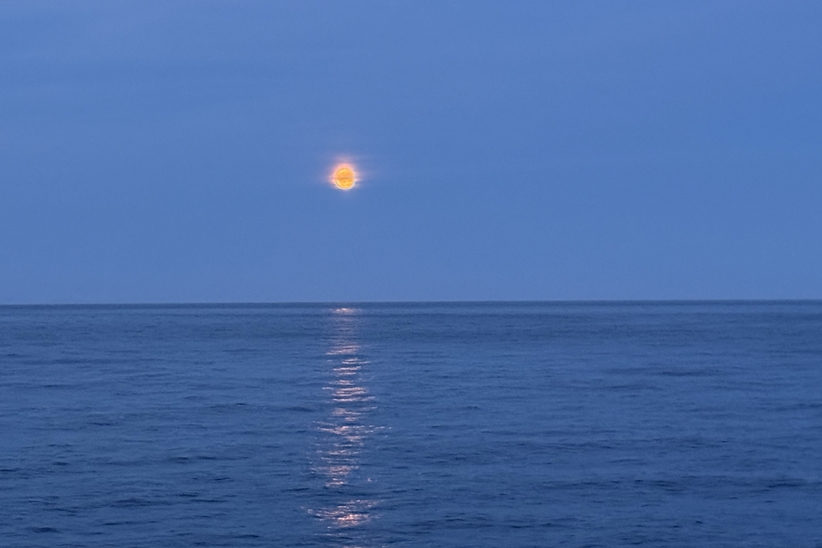 Rød måne over blått hav.